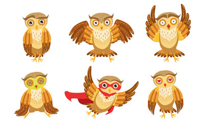 Fototapeta premium Cute Owl Cartoon Characters Set, Adorable Funny Brown Owlets in Different Poses Vector Illustration