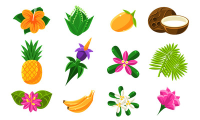 Collection of Bright Tropical Summer Exotic Fruits, Flowers and Plants Vector Illustration