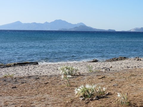 Strand Kos Blick auf Nisyros