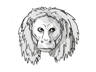 Uakari Endangered Wildlife Cartoon Retro Drawing