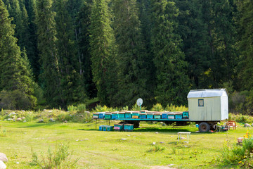 Honey bee hives high in the mountains on nature. Pure mountain honey.