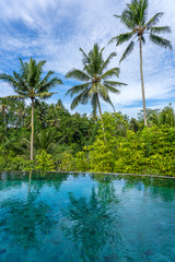 Naklejka na ściany i meble View of the swimming pool water and coconut palm trees in the tropical jungle in the morning , Ubud, Bali, Indonesia