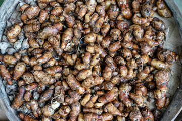 Ginger root for sell at the street market in Ubud, island Bali, Indonesia. Closeup