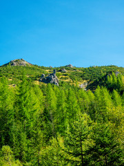 landscape in the mountains