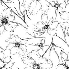Vector Cosmos floral botanical flowers. Black and white engraved ink art. Seamless background pattern.