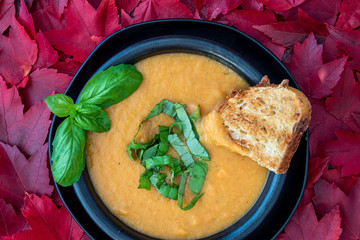 Fall harvest bisque soup of pureed squash and other fall vegetables, in a black bowl and plate, toasted bread, basil, background of red leaves