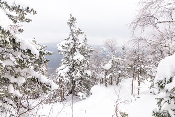 Beautiful view from the top of the Two-headed hill. Taganay national Park, South Ural, Chelyabinsk region, Russia.