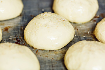 close-up shots of raw round buns with sesame seeds lie on metal pan.