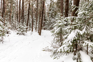 Winter landscape. Taganay national Park, Chelyabinsk region, South Ural, Russia