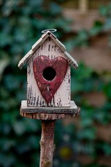 Cute Birdhouse With Heart Shaped Entry