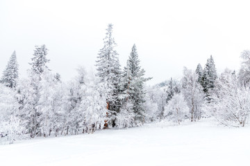 Winter landscape. Taganay national Park, Chelyabinsk region, South Ural, Russia