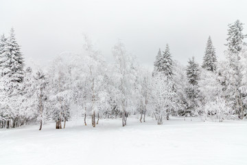 Winter landscape. Taganay national Park, Chelyabinsk region, South Ural, Russia