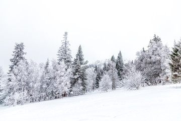 Winter landscape. Taganay national Park, Chelyabinsk region, South Ural, Russia
