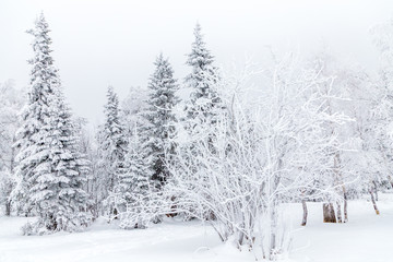 Winter landscape. Taganay national Park, Chelyabinsk region, South Ural, Russia