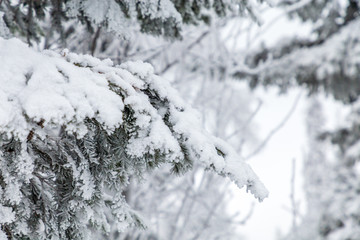 Winter landscape. Taganay national Park, Chelyabinsk region, South Ural, Russia