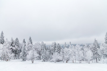 Winter landscape. Taganay national Park, Chelyabinsk region, South Ural, Russia