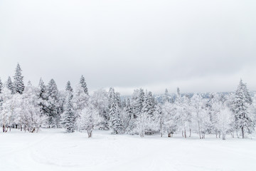 Winter landscape. Taganay national Park, Chelyabinsk region, South Ural, Russia