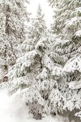 Winter landscape. Taganay national Park, Chelyabinsk region, South Ural, Russia