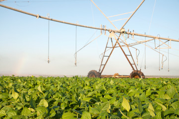 Watering with a moving line