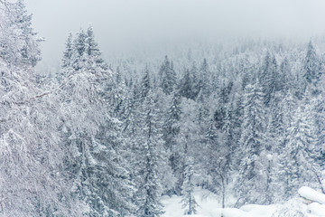 Fototapeta na wymiar Winter landscape. Taganay national Park, Chelyabinsk region, South Ural, Russia