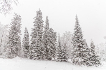 Fototapeta premium Winter landscape. Taganay national Park, Chelyabinsk region, South Ural, Russia