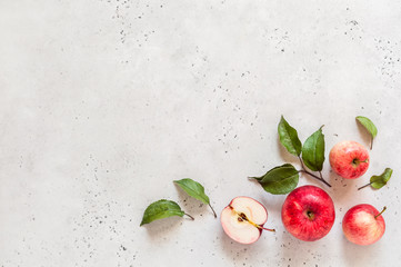 Red Apples, Copy Space