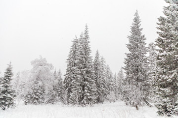 Winter landscape. Taganay national Park, Chelyabinsk region, South Ural, Russia