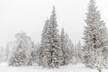Winter landscape. Taganay national Park, Chelyabinsk region, South Ural, Russia
