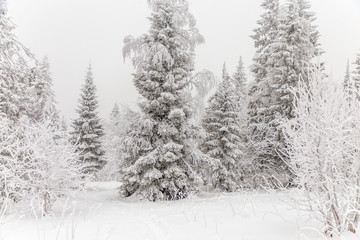 Winter landscape. Taganay national Park, Chelyabinsk region, South Ural, Russia