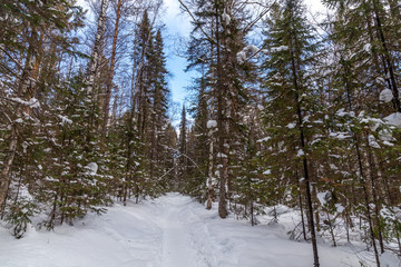 Winter landscape. Taganay national Park, Chelyabinsk region, South Ural, Russia