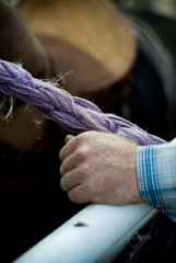 hand with rope in rodeo