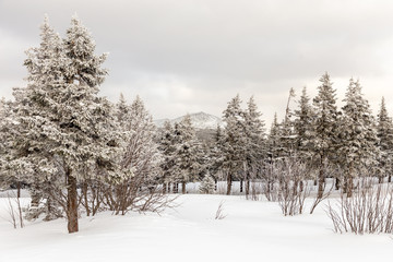 Winter landscape. Taganay national Park, Chelyabinsk region, South Ural, Russia