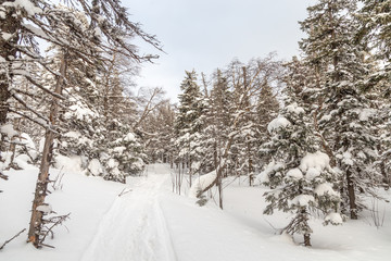 Winter landscape. Taganay national Park, Chelyabinsk region, South Ural, Russia