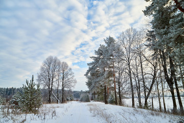 Winter landscape with snowy road, trees and blue sky with white clouds