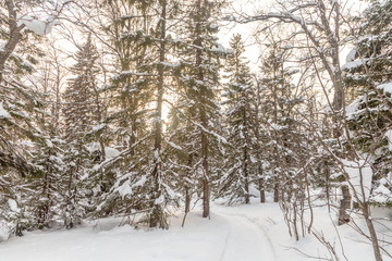 Winter landscape. Taganay national Park, Chelyabinsk region, South Ural, Russia