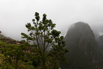Obraz premium Machu Picchu , Peru,