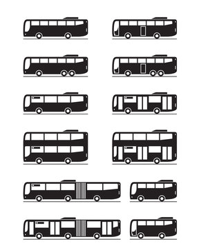 Various public transport buses - vector illustration