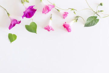 Ipomoea purpurea on white wood table. Gentle romantic background. Floral background. Top view, flat lay. Flowers, spring, summer concept.Romance and love card concept. Empty space for your text.