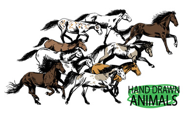 Running horse. A herd of mustangs. Drawing by hand in vintage style.