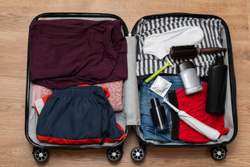 Travel, suitcase, apartment