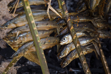 Grilled fish with spices on fire close up. Grilling fish on campfire