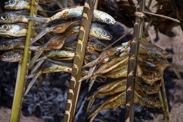 Grilled fish with spices on fire close up. Grilling fish on campfire