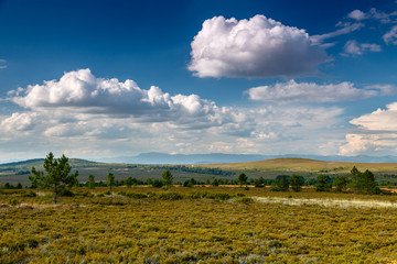Paisaje extenso de matorrales y pinos dispersos en la Sierra de la Culebra, Zamora, España.