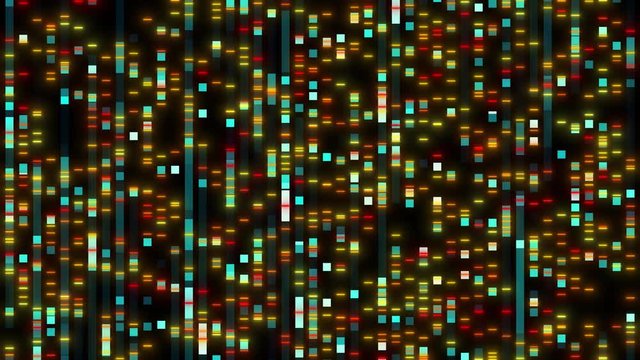 DNA sequencing to determine the nucleotide sequence of DNA