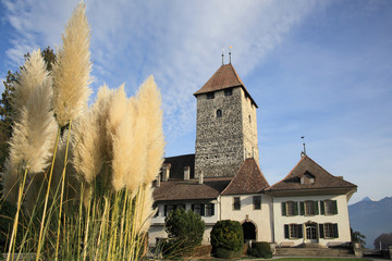  medieval castle at Lake Thun in Switzerland