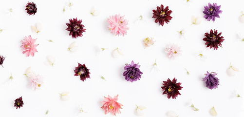 Festive flower composition on the white background. Overhead view