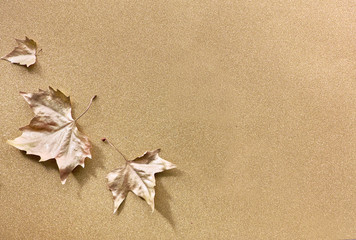 Fototapeta na wymiar Autumn flat lay with painted golden leaves and copy-space on sparkling golden paper