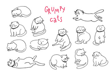 Hand drawn illustration of cranky cats. Humor. Chubby and  human like.