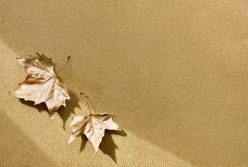 Autumn flat lay with painted golden leaves and copy-space on sparkling golden pape