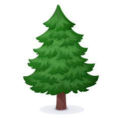 Evergreen tree isolated on white background. Christmas tree vector illustration